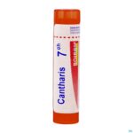 Packshot Cantharis 7ch Gr 4g Boiron