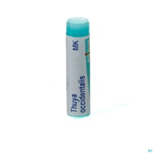 Packshot Thuya Occidentalis Mk Gl Boiron