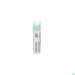 Packshot Valeriana Officinalis 30k Gr 4g Boiron