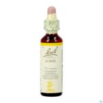 Packshot Bach Flower Remedie 13 Gorse 20ml