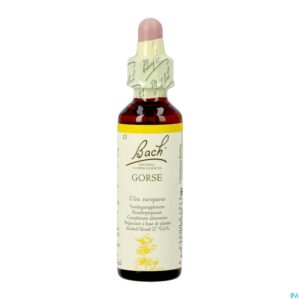 Packshot Bach Flower Remedie 13 Gorse 20ml