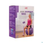Packshot Sissel Ball Securemax Zitbal Diam.65cm Grijs
