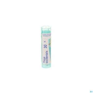 Packshot Thuya Occidentalis 30k Gr 4g Boiron