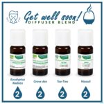 Lifestyle_image Phytosun Euc. Radiata Fr-bio-01 10ml Lifestyle_image Phytosun Euc. Radiata Fr-bio-01 10ml