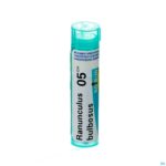 Packshot Ranunculus Bulbosus 5ch Gr 4g Boiron