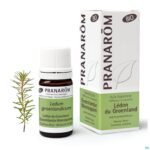Lifestyle_image Pranarom Eo Ledon Groenland Bio 5ml