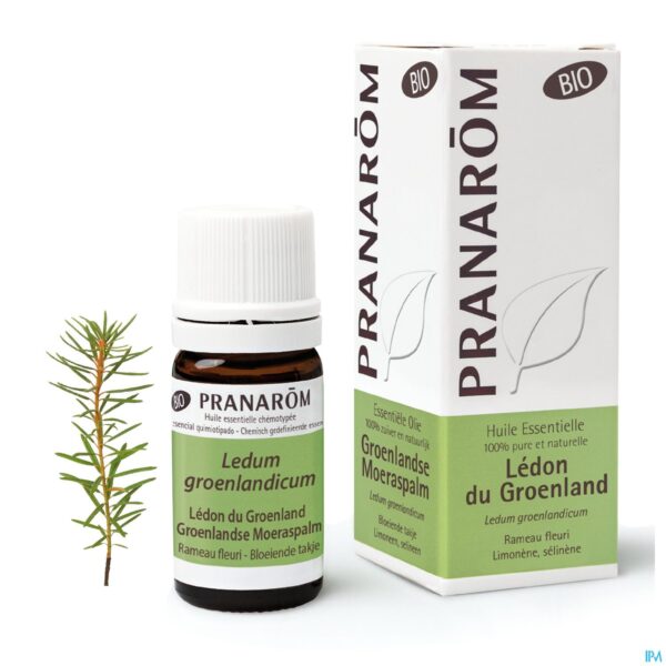 Lifestyle_image Pranarom Eo Ledon Groenland Bio 5ml