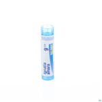 Packshot Ignatia Amara 9ch Gr 4g Boiron