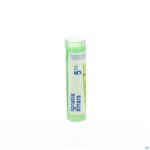 Packshot Ignatia Amara 5ch Gr 4g Boiron