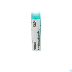 Packshot Rhus Toxicodendron Xmk Gl Boiron