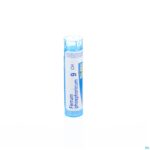 Packshot Ferrum Phosphoricum 9ch Gr 4g Boiron