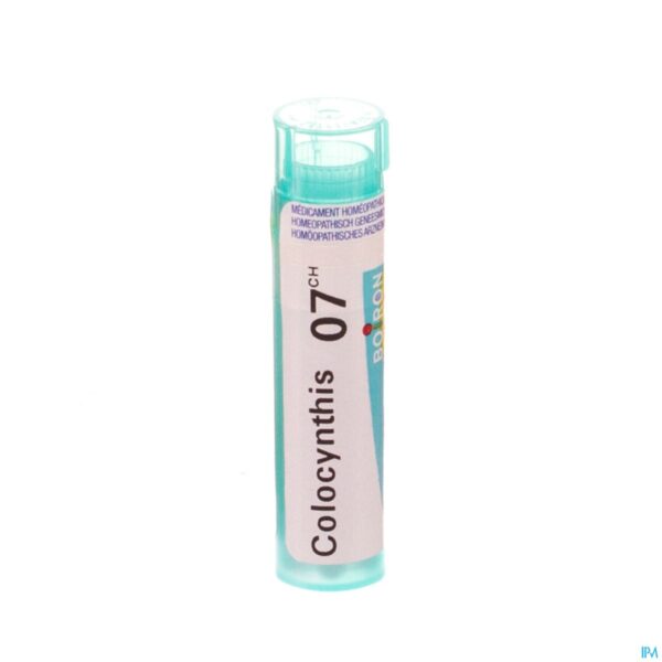 Packshot Colocynthis 7ch Gr 4g Boiron