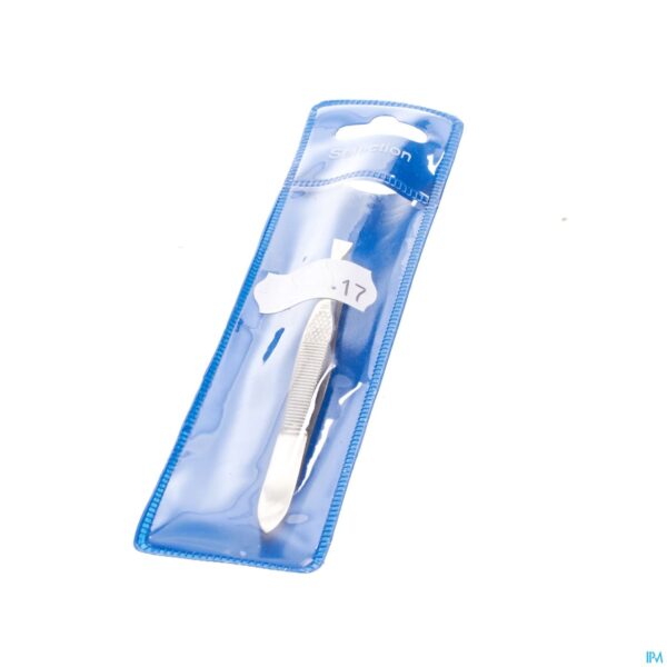 Packshot Selection Epileerpincet Schuin Inox R17