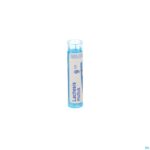 Packshot Lachesis Mutus 9ch Gr 4g Boiron