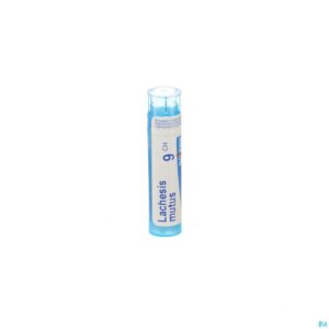 Packshot Lachesis Mutus 9ch Gr 4g Boiron