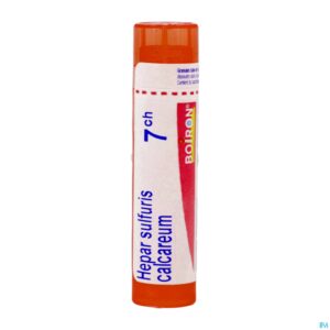 Packshot Hepar Sulfuris Calcareum 7ch Gr 4g Boiron