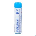 Packshot Folliculinum 9ch Gl Boiron