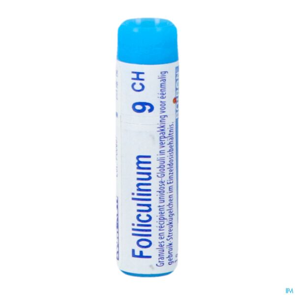 Packshot Folliculinum 9ch Gl Boiron