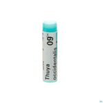Packshot Thuya Occidentalis 9ch Gl Boiron