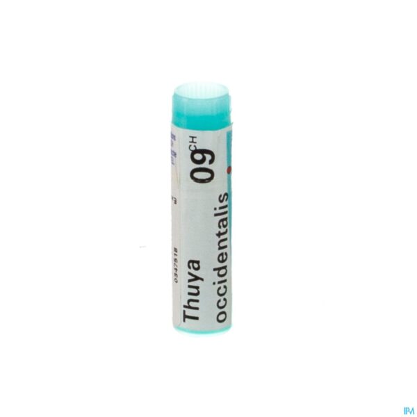 Packshot Thuya Occidentalis 9ch Gl Boiron