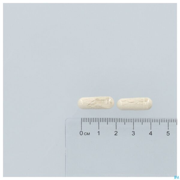 Pillshot Digest Ok Caps 60 Revogan