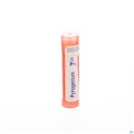Packshot Pyrogenium 7ch Gr 4g Boiron