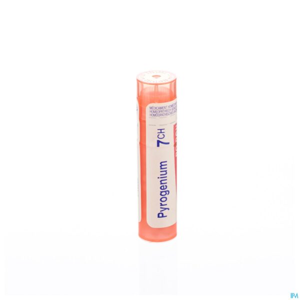 Packshot Pyrogenium 7ch Gr 4g Boiron