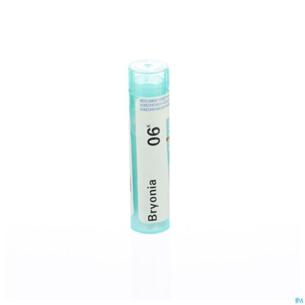 Packshot Bryonia 6k Gr 4g Boiron