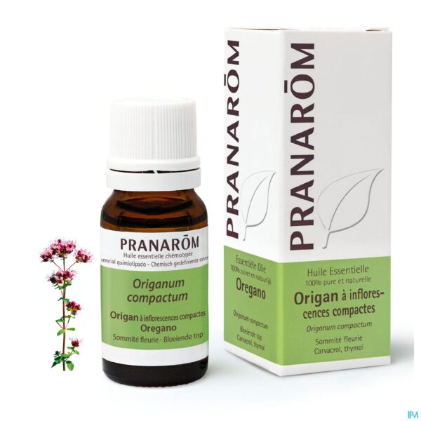 Lifestyle_image Pranarom Eo Oregano Inflor. 10ml