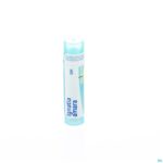Packshot Ignatia Amara Mk Gr 4g Boiron