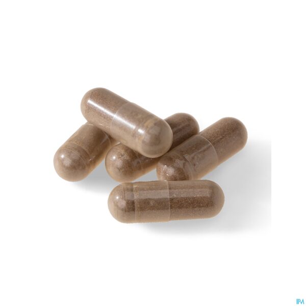 Pillshot Vhp Biotics Caps 90