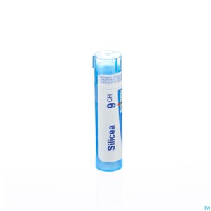 Packshot Silicea 9ch Gr 4g Boiron