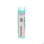 Packshot Psorinum 30k Gr 4g Boiron