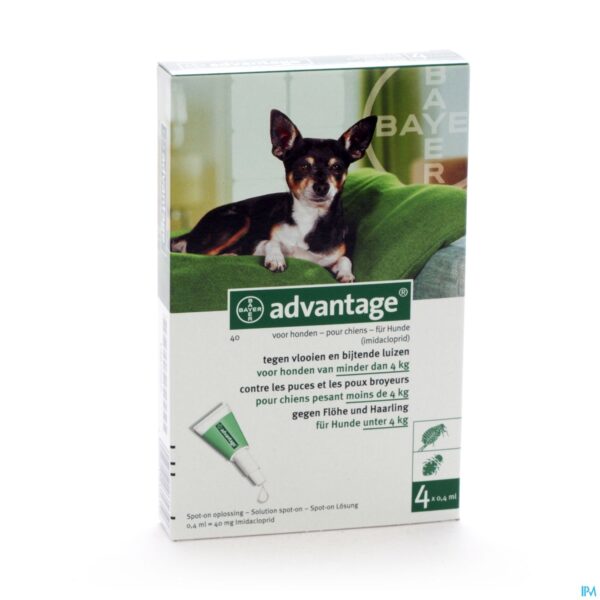 Packshot Advantage 40 Honden