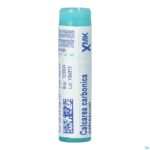 Packshot Calcarea Carbonica Ostrearum Xmk Gl Boiron