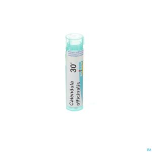 Packshot Calendula Officinalis 30k Gr 4g Boiron