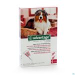 Packshot Advantage 250 Honden 10
