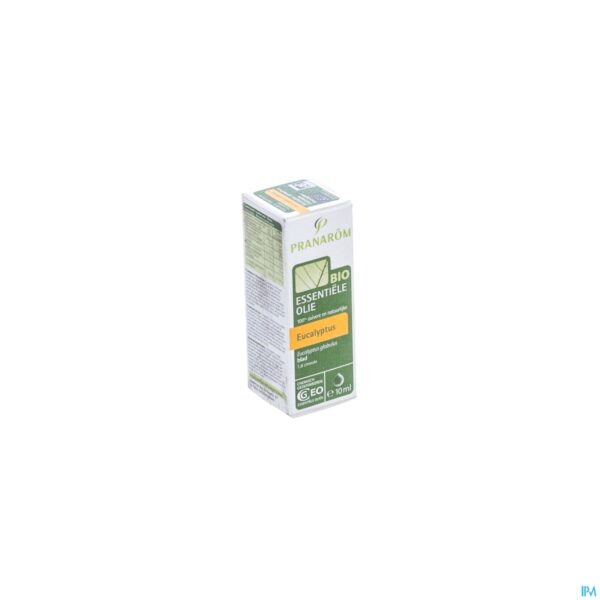 Packshot Pranarom Eo Eucalyptus Globulus Bio 10ml Packshot Pranarom Eo Eucalyptus Globulus Bio 10ml