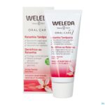 Productshot Weleda Tandpasta Ratanhia Roos 75ml
