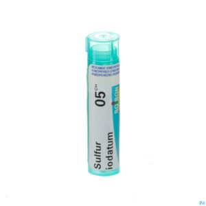 Packshot Sulfur Iodatum 5ch Gr 4g Boiron