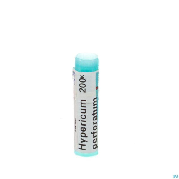 Packshot Hypericum Perforatum 200k Gl Boiron
