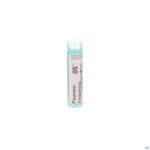 Packshot Poumon Histamine 5ch Gr 4g Boiron