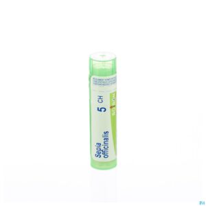 Packshot Sepia Officinalis 5ch Gr 4g Boiron