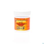 Packshot Ginseng Forte Comp 100x500mg Deba