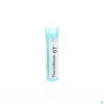 Packshot Thyroidinum 07ch Gr 4g Boiron