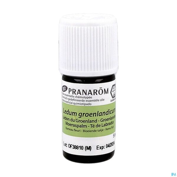 Productshot Pranarom Eo Ledon Groenland Bio 5ml