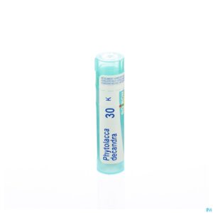 Packshot Phytolacca Decandra 30k Gr 4g Boiron