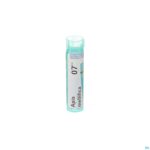 Packshot Apis Mellifica 7ch Gr 4g Boiron
