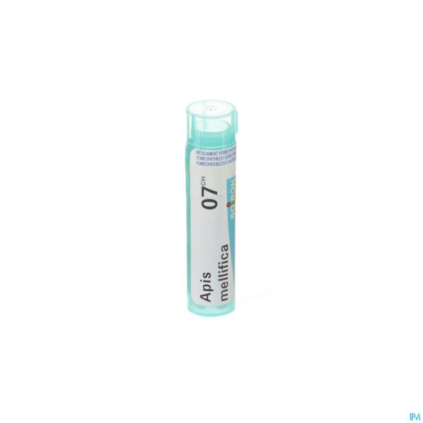 Packshot Apis Mellifica 7ch Gr 4g Boiron