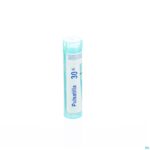 Packshot Pulsatilla 30k Gr 4g Boiron